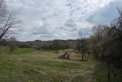 Teren de 10176 mp, în Slătioara - 4