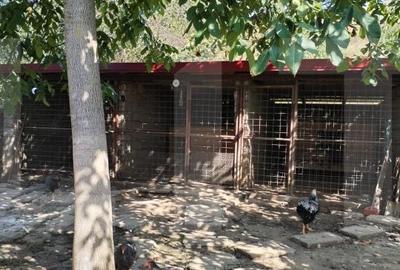 Casă cu 5 camere cu Teren 1337 Mp în Belin