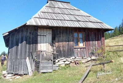 Teren de 50000 mp, în Argel