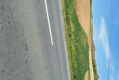 Teren de 5800 mp, în Gădălin - 3