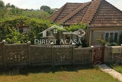 Casă cu Teren 15000 Mp în Central