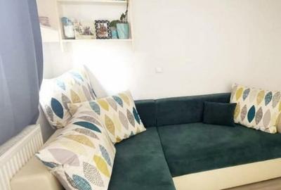 Apartament cu 2 camere decomandat în Ozana - 4