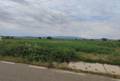 Teren de 7500 mp, în Diocheți-Rediu - 2