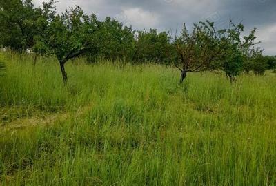 Teren de 34422 mp, în Bădeni - 3