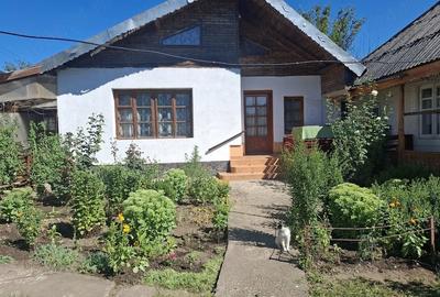 Casă cu Teren 1500 Mp în Secu