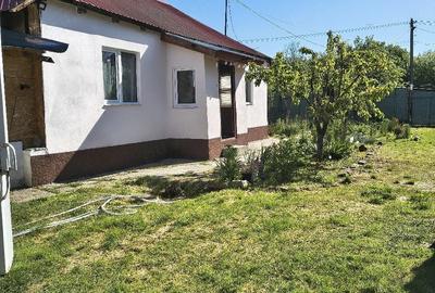 Casă cu 3 camere cu Teren 2700 Mp în Ciurari - 4