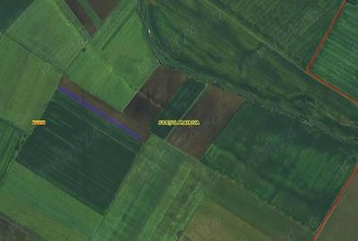 Teren de 5000 mp, în Central