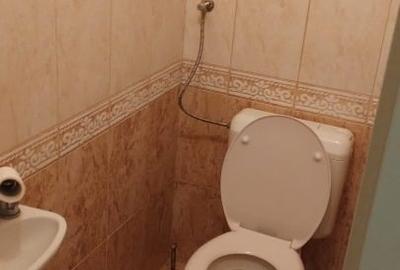 Casă individuală cu 3 camere cu Canalizare în Dealuri Oradea - 14