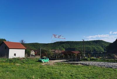 Teren Construcții intravilan de 729 mp, în Nord-Vest - 12