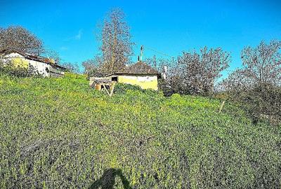 Casă cu Teren 1800 Mp în Cristești - 3