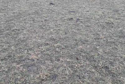 Teren de 4488 mp, în Pângărați - 6