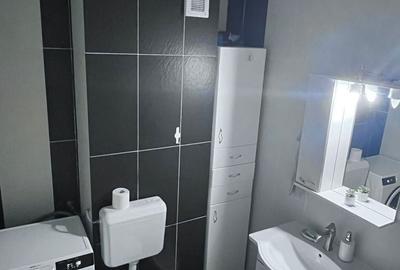 Apartament cu 2 camere semidecomandat, mobilat în Roșu - 1