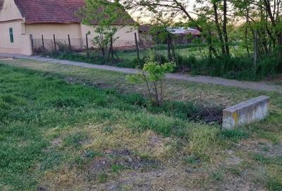 Casă cu Teren 2158 Mp în Comloșu Mare - 2