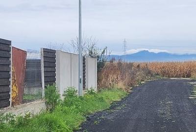 Teren Construcții intravilan de 66707 mp, în Stupini - 3