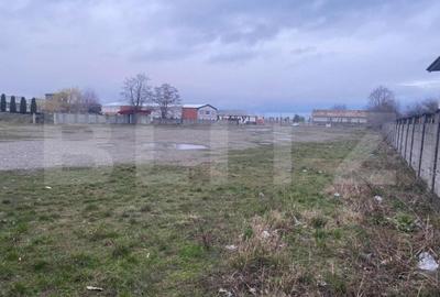 Teren de 8000 mp, în Cornu Luncii - 3