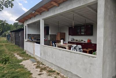 Casă cu Teren 6000 Mp în Bunești (Cotmeana)