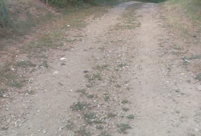 Teren agricol intravilan de 780 mp, în Mocești - 4