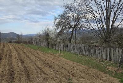 Casă cu Teren 932 Mp în Cracu Muntelui