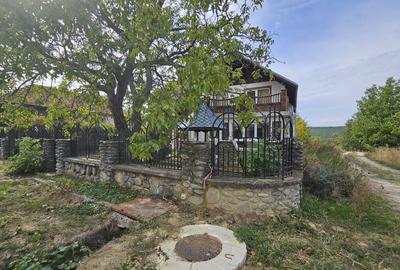 Casă individuală cu 6 camere cu Teren 12000 Mp în Bălănești - 3