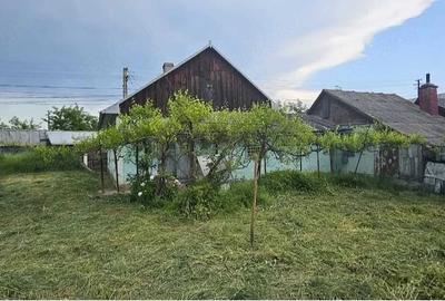 Casă cu Teren 800 Mp în Central