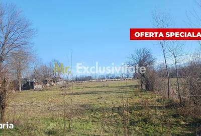 Teren de 6500 mp, în Rociu