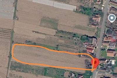 Teren de 3800 mp, în Covăsinț