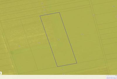 Teren de 36973 mp, în Orbeasca - 5