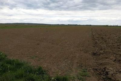 Teren de 5186 mp, în Strejești