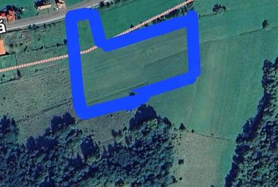 Teren de 7000 mp, în Deleni (Ideciu de Jos)