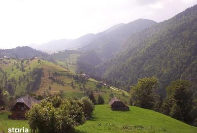 Teren de 970 mp, în Moieciu - 6