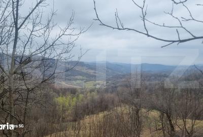 Teren de 3781 mp, în Izvoarele - 11