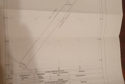 Teren de 12700 mp, în Central