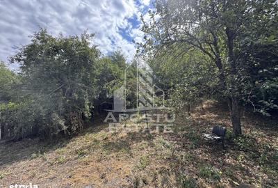 Casă cu 3 camere cu Teren 841 Mp în Central
