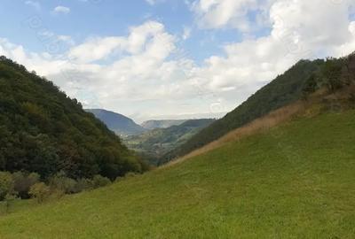 Teren de 8500 mp, în Hărțăgani - 7