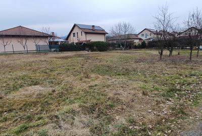 Teren intravilan de 878 mp, în Tăuții-Măgherăuș - 9