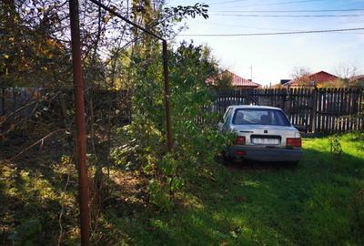 Casă individuală cu 2 camere cu Teren 2500 Mp în Gruiu - 3