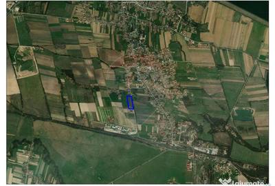 Teren de 9505 mp, în Tileagd - 4