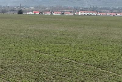 Teren de 10000 mp, în Vernești - 2