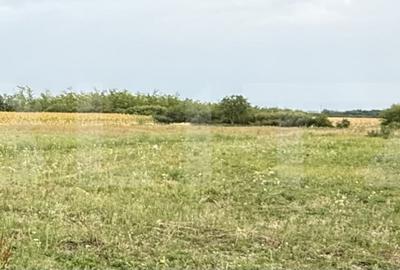 Teren de 500 mp, în Odoreu