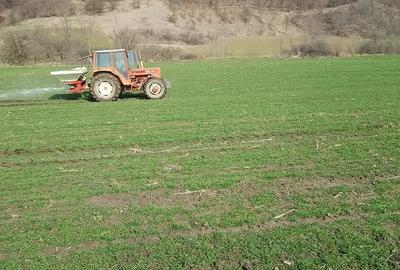 Teren de 51200 mp, în Viișoara