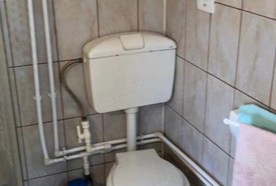 Casă cu 4 camere cu Teren 5400 Mp în Ceamurlia de Sus - 1