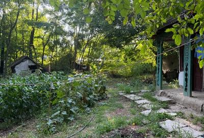 Teren de 1300 mp, în Bițina-Pământeni