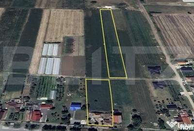 Casă cu 2 camere cu Teren 11600 Mp în Central