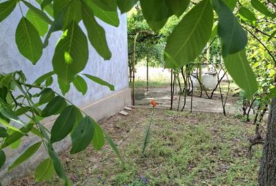 Casă cu 4 camere în Sadova - 4