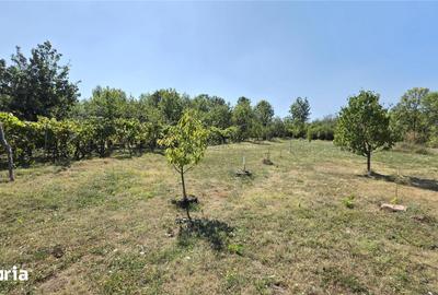 Casă cu 9 camere decomandat cu Teren 4400 Mp în Ciuchici