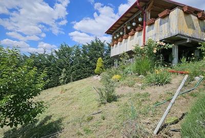 Casă cu 2 camere în Podgoria - 13