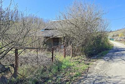Teren de 2600 mp, în Dobrușa