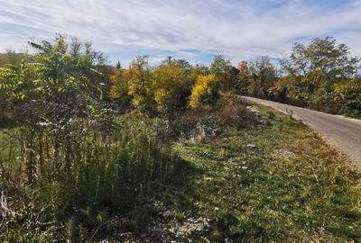 Teren Construcții intravilan de 2500 mp, în Predeal-Sărari - 4