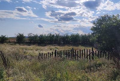 Casă cu Teren 5000 Mp în Central