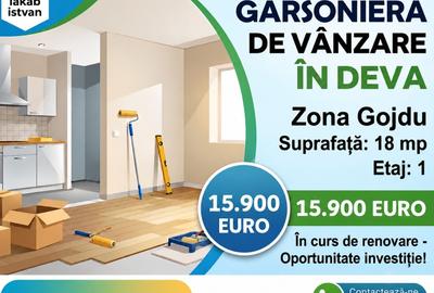 Garsonieră în Gojdu